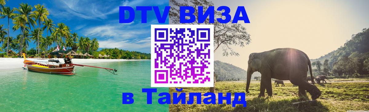 Оформление DTV визы под ключ: стоимость и тарифы, только загранпаспорт - 